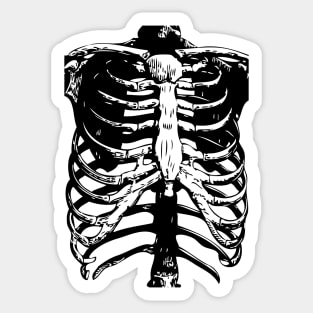 Skeleton Ribs | Skeletons | Anatomy | Bones | Rib Cage | Black and White | Sticker